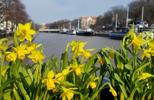 Matkailuala toipuu nopeasti koronapandemiasta