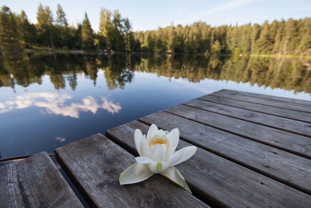 Aiemman valokuvakilpailun valokuva