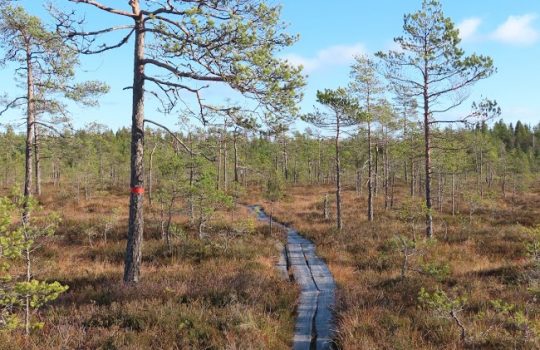 Matkailualan liikevaihto nousi kesällä ennätykseen