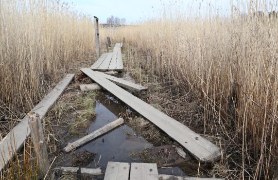 Uusia ominaisuuksia Virma-karttapalvelussa