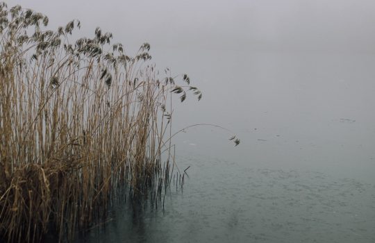 Varsinais-Suomen työllisyyskehitys kääntyi laskuun