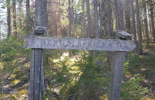 Paikkatietoharjoittelijaksi Lounaistietoon ja Varsinais-Suomen liittoon?