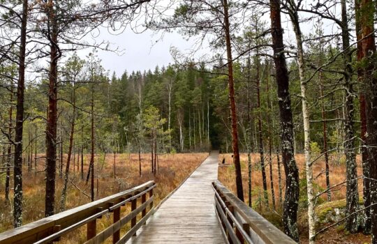Vieraskynä: Retkeilykohdetiedot palvelemaan koko Suomea