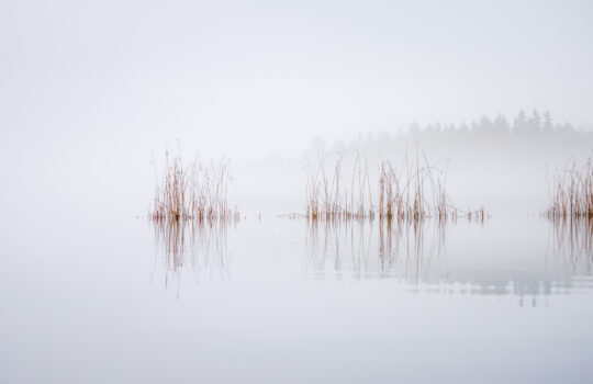 Aluetietofoorumin juhlaseminaari 24.3.2026