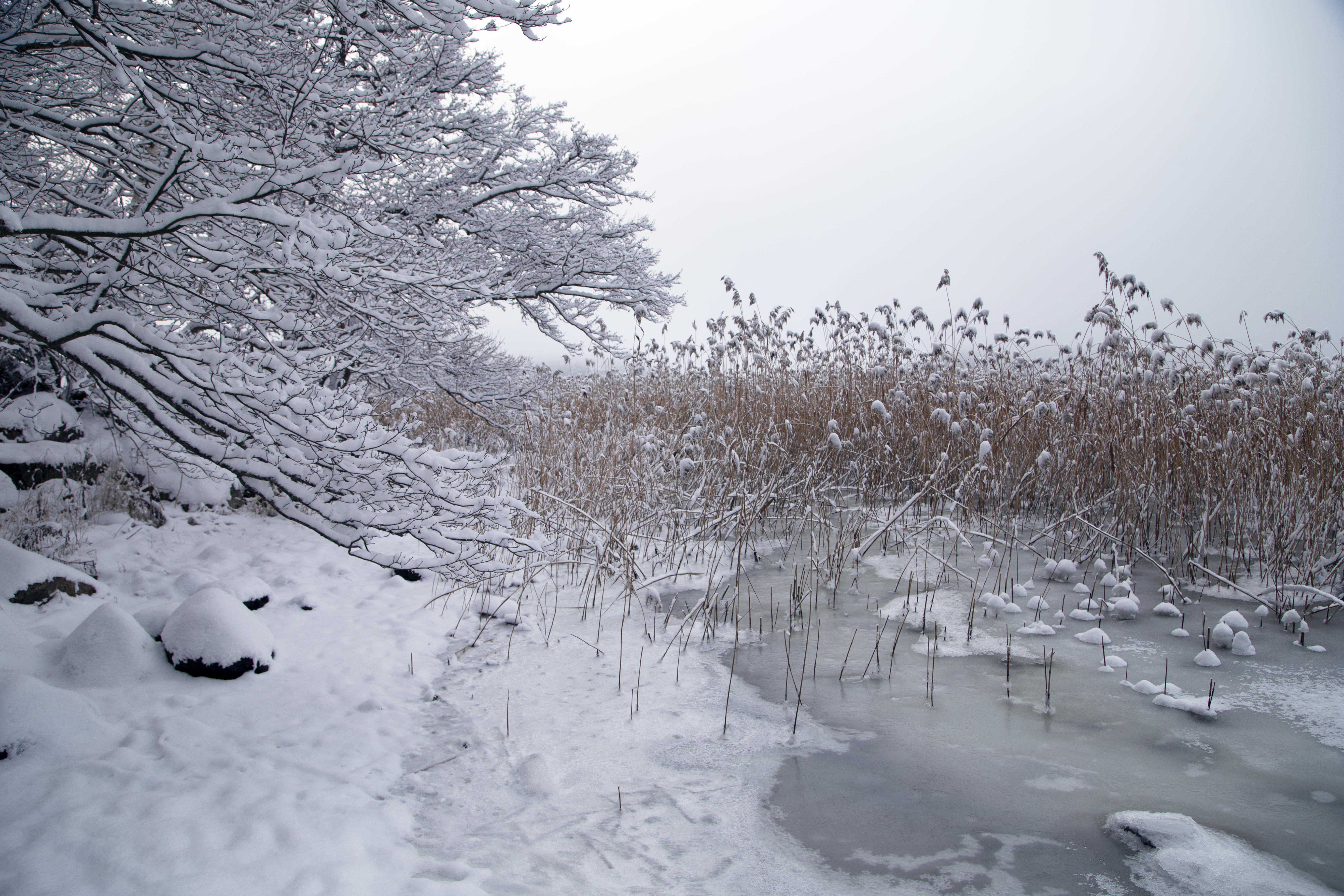 Maakunnan tila: sekä työllisten että työttömien määrä kasvussa