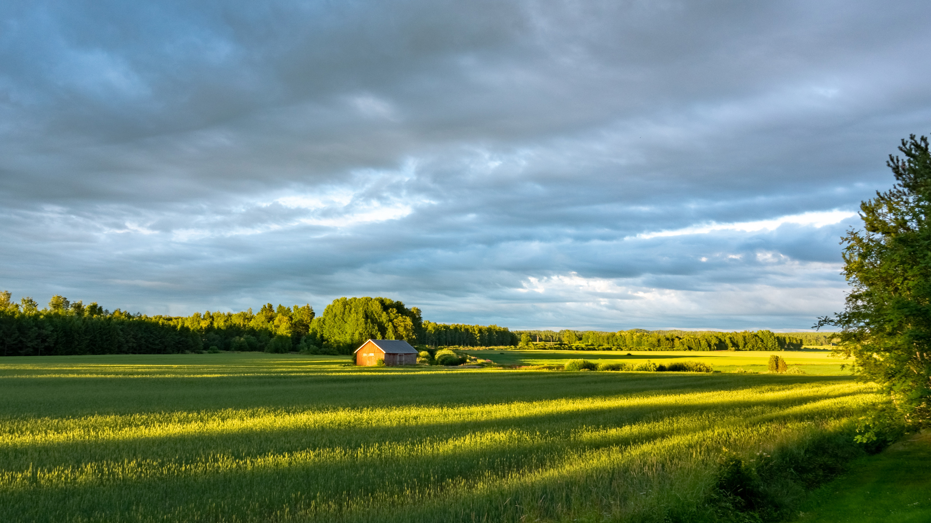 Maakunnan tila: Varsinais-Suomi vahvoilla EVP-vertailussa